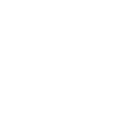 SAP Partner