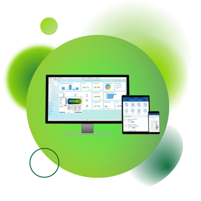 SAPBusinessOne SolucionesEficientesEFICIENTES