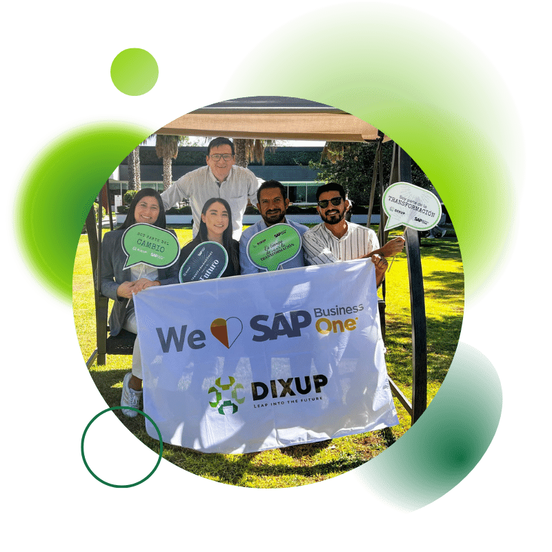 dixup Implementacion
